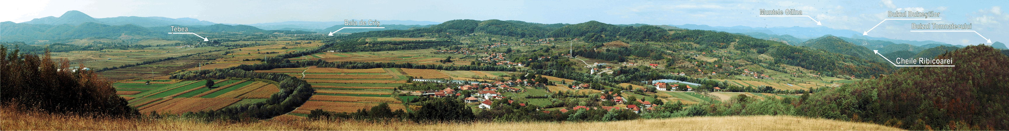 Panorama localității Ribița